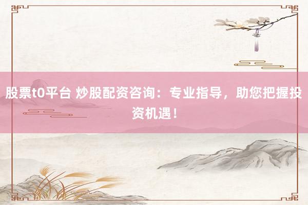 股票t0平台 炒股配资咨询：专业指导，助您把握投资机遇！