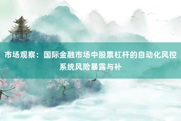 市场观察：国际金融市场中股票杠杆的自动化风控系统风险暴露与补