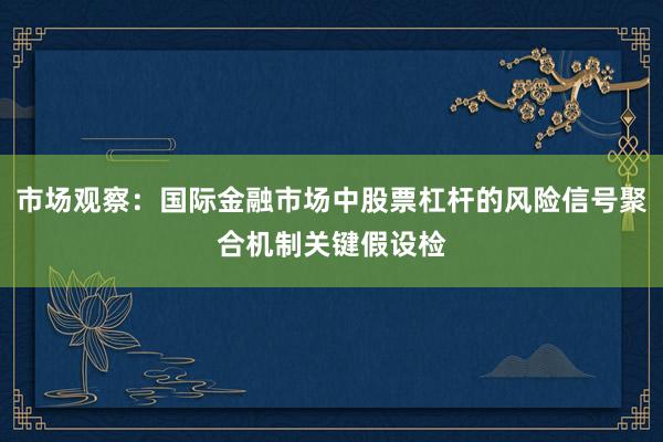 市场观察：国际金融市场中股票杠杆的风险信号聚合机制关键假设检