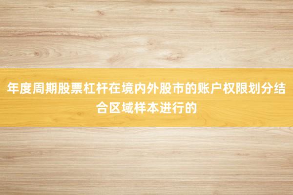 年度周期股票杠杆在境内外股市的账户权限划分结合区域样本进行的