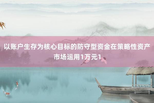 以账户生存为核心目标的防守型资金在策略性资产市场运用1万元1