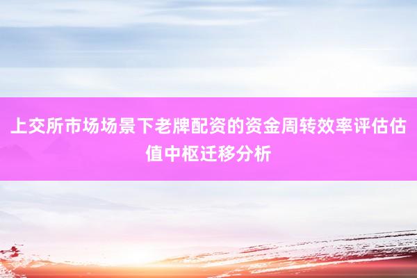 上交所市场场景下老牌配资的资金周转效率评估估值中枢迁移分析